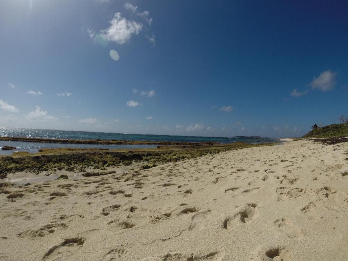 Bungalow Vanille Pacane - Vue Mer Avec Spa Prive Les Trois-Ilets Exteriér fotografie